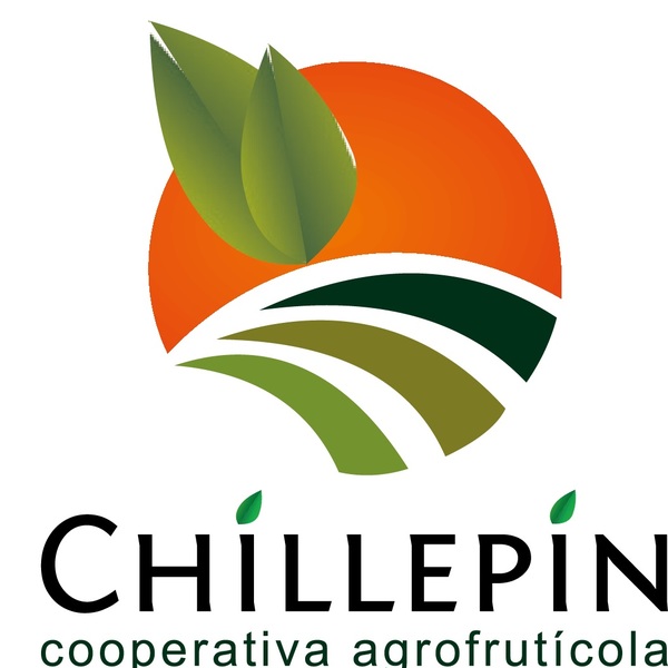 Cooperativa agrofruticola chillepin2